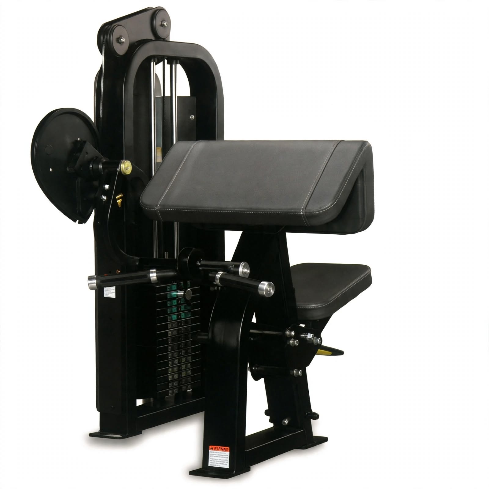 Bicep Curl