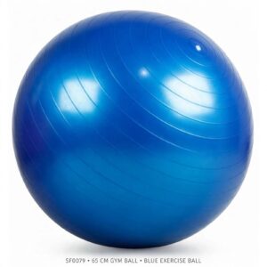 65 CM GYM BALL