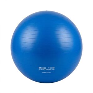 75 CM GYM BALL
