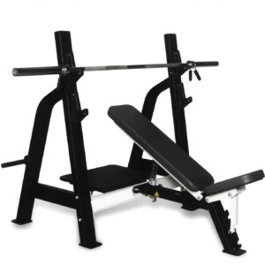 Flat / Incline Combo Bench